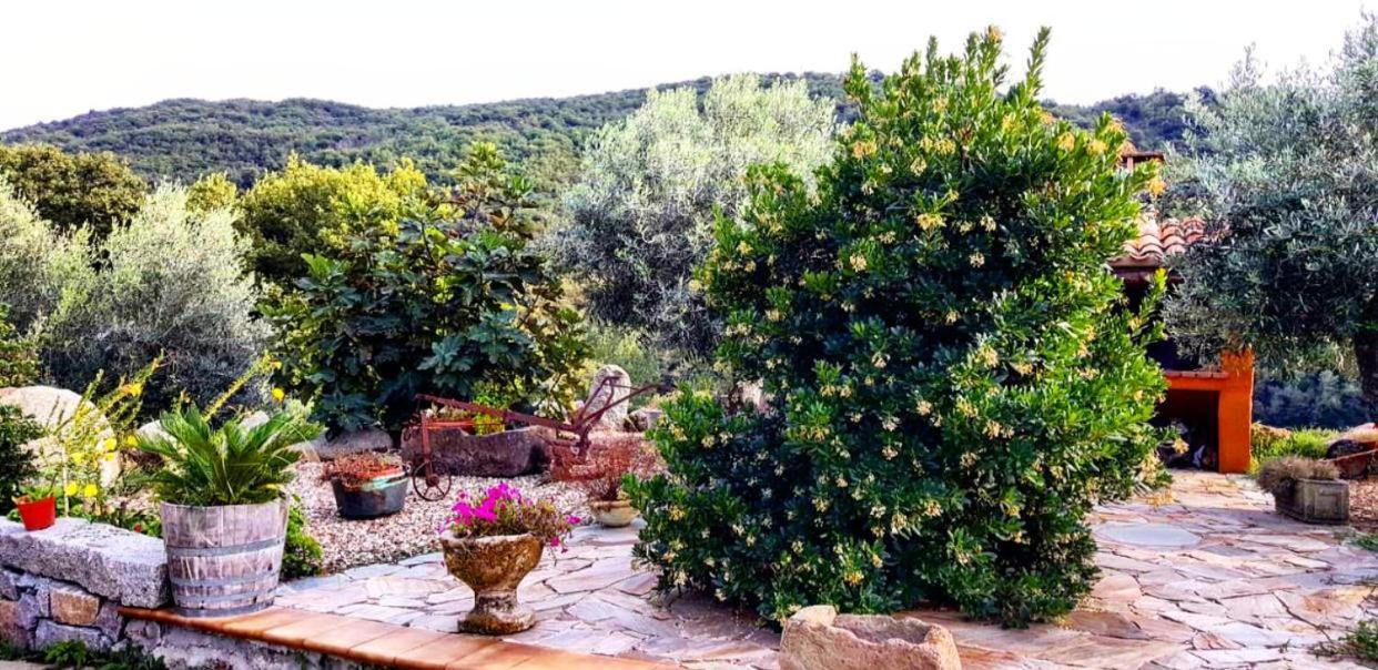 Casa Vacanza Centro Sardegna Sorgono Exterior photo
